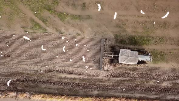 Farmer cultivate the soil with tractor works