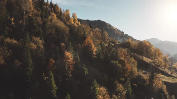 Sun Mountain Village at Autumn Forest Aerial