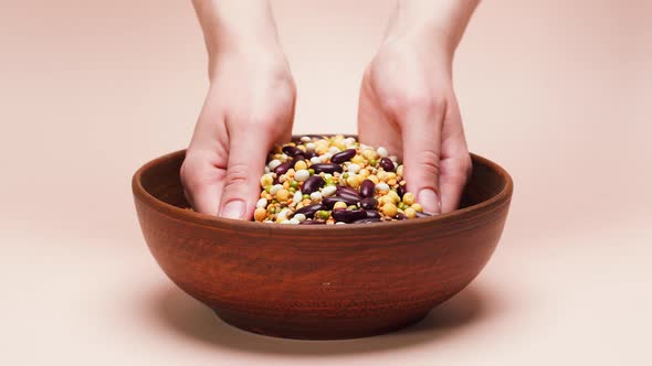 Closeup of Taking Mixture of White and Red Beans Chickpeas Mung and Lentils From Bowl