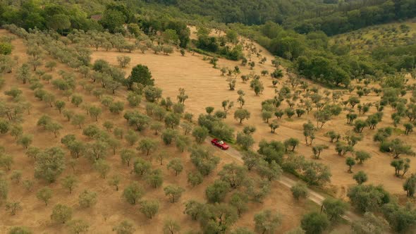 Countryside In Italy