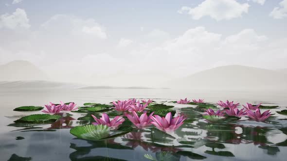 Lotus Lake
