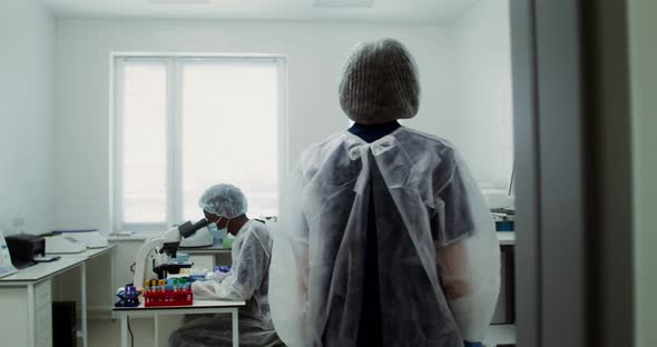 A Team of Laboratory Technicians Work in a Modern Wellequipped Laboratory