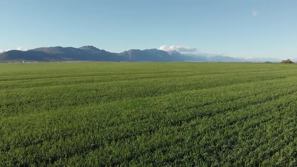 General view of wind turbines in countryside landscape with cloudless sky