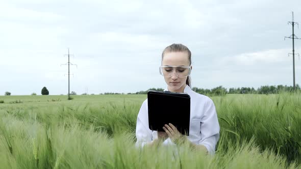 Biologist wearing white bathrobe is checking harvest progress on a tablet at the green wheat field