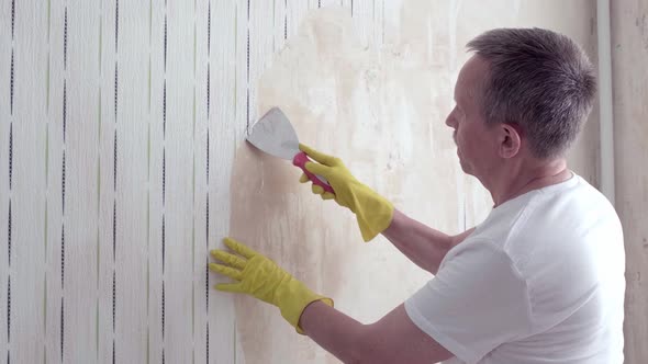 An Adult Man Takes Off the Wallpaper Works with a Spatula in the Room