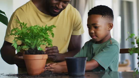 African american boy adding new soil to the plant pot at home