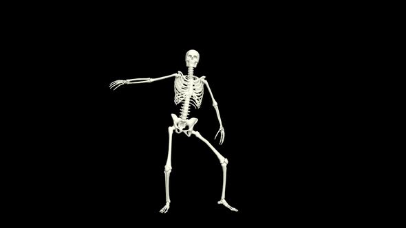 Skeleton Snake Hip Hop Dance