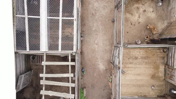 Aerial View of a Shelter for Stray Dogs.