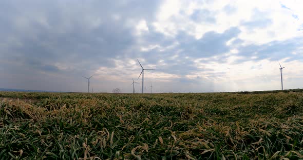 Static View Of Wind Turbines Spinning On Grassy Wind Farm. GoPro low-level shot, time lapse