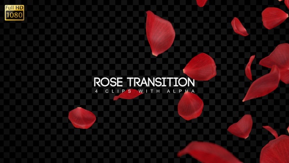 Wedding Transitions alt