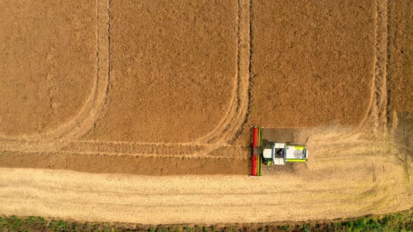 Top view of harvester harvesting seed in Poland, aerial view