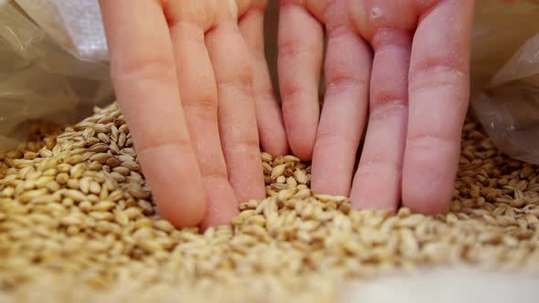 Brewer holding grains