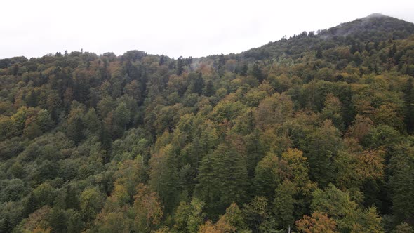 Nature of Ukraine: Carpathian Mountains Slow Motion. Aerial View