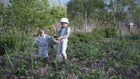 Spring Gardening Concept, Cute Child Working in Garden, Watering Seedlings From Watering Can