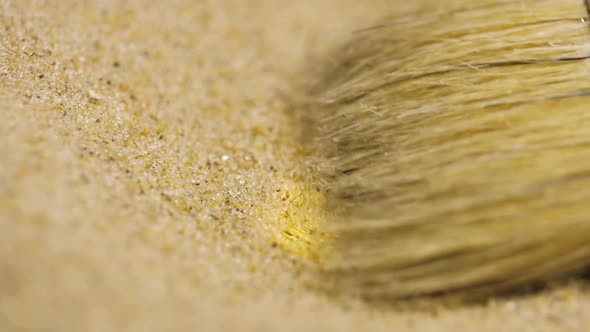 Fur Brush Cleans Up Bitcoin Real Model From Sand