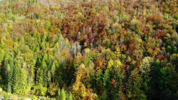 Drone Video of beautiful landscape with Mountauns and Forest in Austria in Autumn