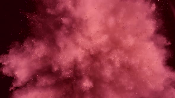 Pink particles fly after being exploded, Slow Motion