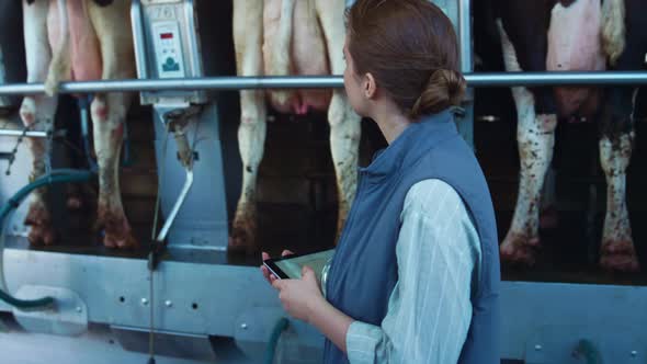 Dairy Worker Checking Milking Machinery Closeup