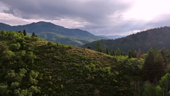 Panning aerial view of ridge in the Wasatch Mountains