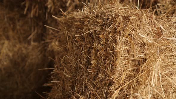 Stacked  rectangular bales in the barn slow tilt  slow tilt 4K 2160p 30fps UltraHD footage - Tilting