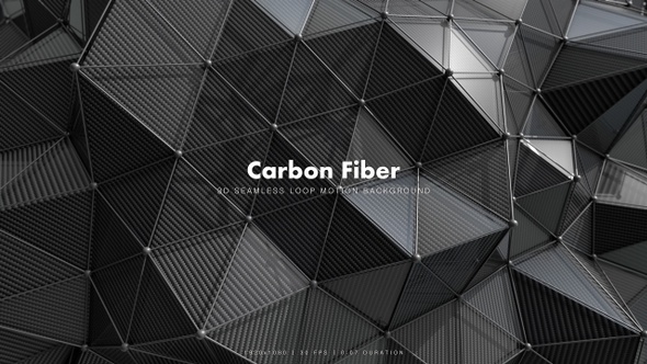 Carbon Fiber Motion 6
