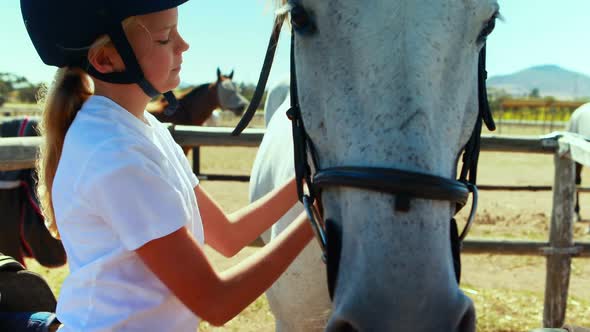 Girl grooming the horse in the ranch 4k