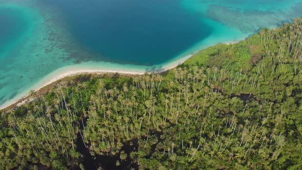 Aerial: flying over exotic white sand beach tropical island secluded destination away from it all