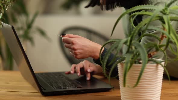 Woman with potted plant using laptop hold in hand credit card