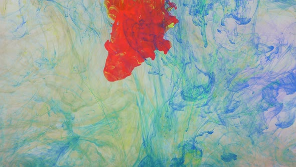 Liquid Abstractions the Dissolution of Blue Yellow Red and Green Paint in Water