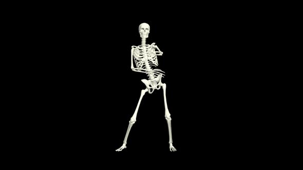 Skeleton Samba Dancing