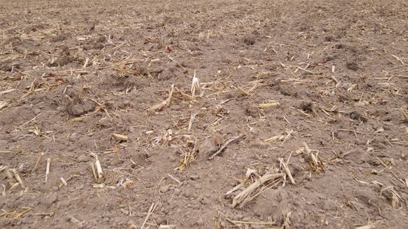 Land in a Plowed Field in Autumn