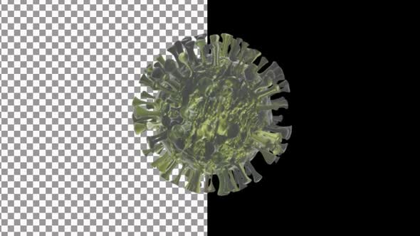 Corona Virus With Alpha