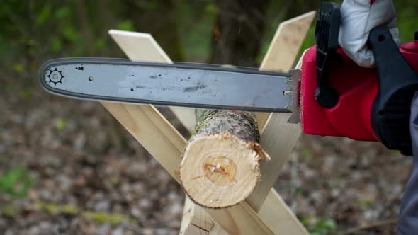 Close Up of Woodcutter Sawing Tree Trunk on Sawhorse, Sawdust Fly To Sides