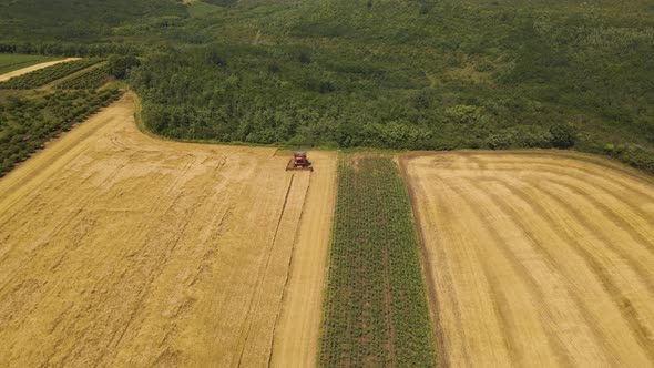 Drone Shot Over Combine Working on Wheat Fields During Harvesting