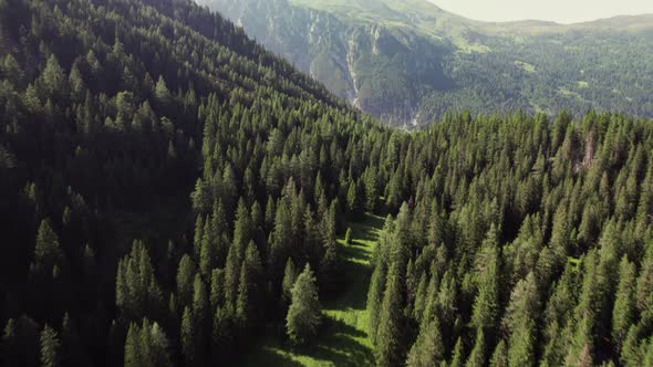 Cinematic drone aerial over a beautiful alpine scenery with woods and mountain peaks on a sunny summ