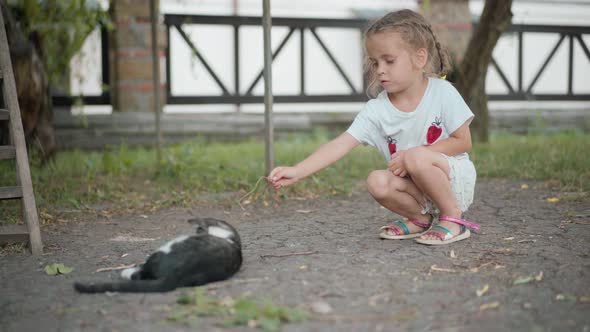 Little Girl Playing With Cat Outdoors Summer Day