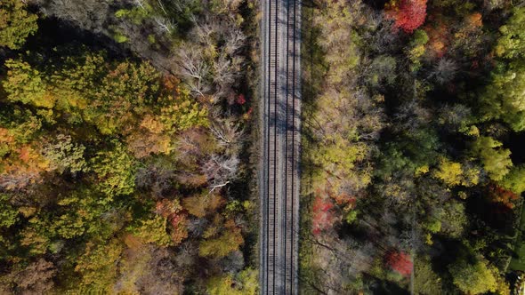 Aerial top down shot of train tracks in the middle of autumn forest.