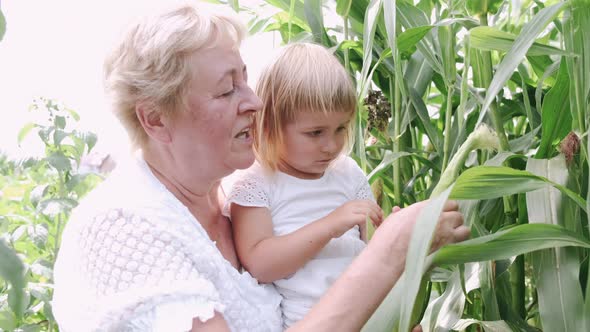 Lovely Grandmother with Cute Granddaughter Outdoor