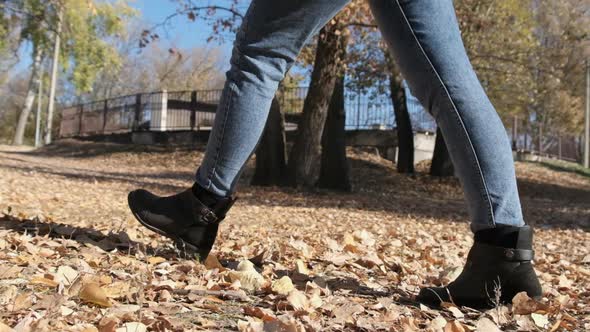 Female Legs Walking on Fallen Autumn Leaves in the Park in Slow Motion