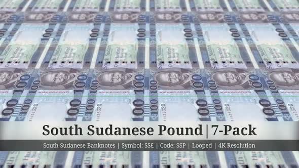 South Sudanese Pound | Sudan, South Currency - 7 Pack | 4K Resolution | Looped