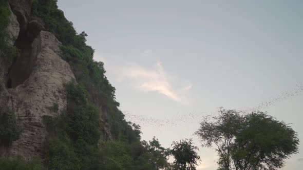 Thousands of bats flying through the sky near Battambang in Cambodia; Phnom Sampeau bat cave; slow m