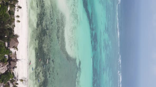 Vertical Video of the Ocean Near the Coast of Zanzibar Tanzania Aerial View