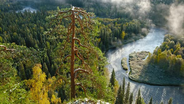 Autumn View in Oulanka National Park Landscape