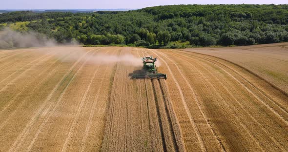 Combine Harvester Works In The Field Harvesting