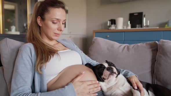 Pregnant woman relaxing with puppy on the couch. Shot with RED helium camera in 8K