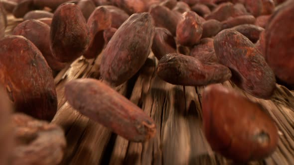 Super Slow Motion Detail Shot of Chocolate Beans Rolling Towards on at 1000Fps with Camera Motion