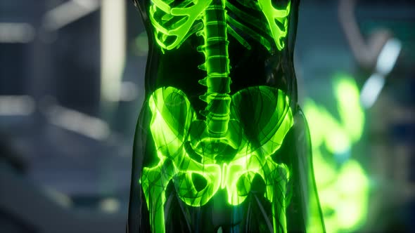 Human Skeleton Bones Scan Exam in Lab alt