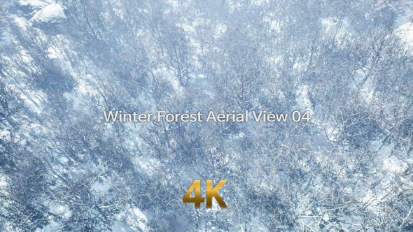 Winter Forest Aerial View 4K 04