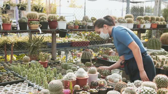 A masked asian woman examines a table of cacti in a nursery store greenhouse shop.