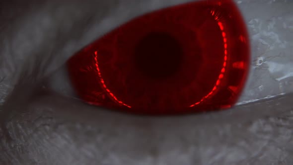 Blinking Eye With An Iris Of Red Color With Ring Light In Closeup